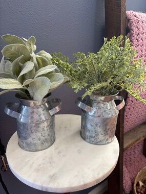 Galvanized Metal Mini Pitcher Planters - Silver